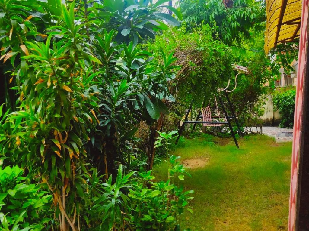 Jwala Niketan Eco Homestay Τζαϊπούρ Εξωτερικό φωτογραφία
